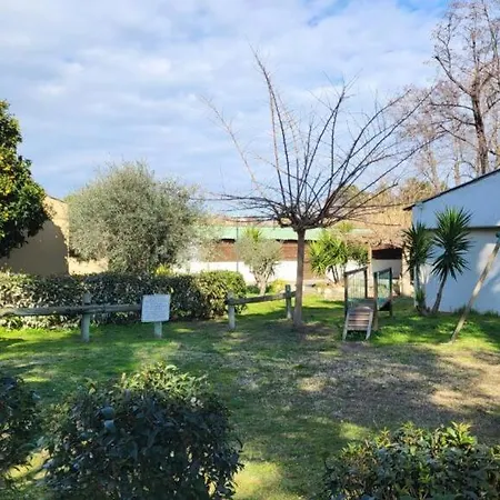 Chalet Avec Patio En Haute Corse 5 Couchages