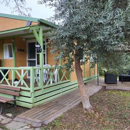 Avec Patio En Haute Corse 5 Couchages Chalet