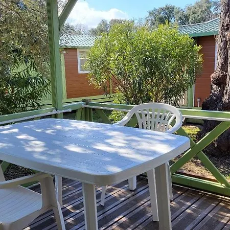 Climatise Avec Patio En Haute Corse 5 Couchages Alpstuga