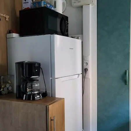 Alpstuga Climatise Avec Patio En Haute Corse 5 Couchages *