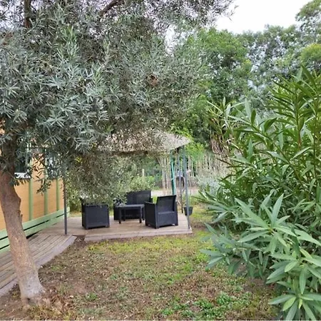 Climatise Avec Patio En Haute Corse 5 Couchages Alpstuga