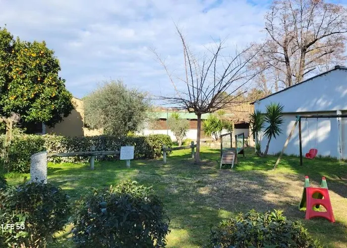 木屋 Climatise Avec Patio En Haute Corse 5 Couchages