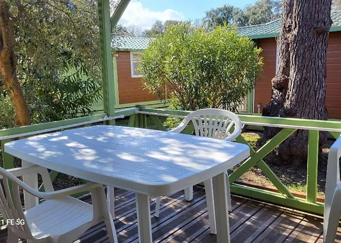 Climatise Avec Patio En Haute Corse 5 Couchages 木屋