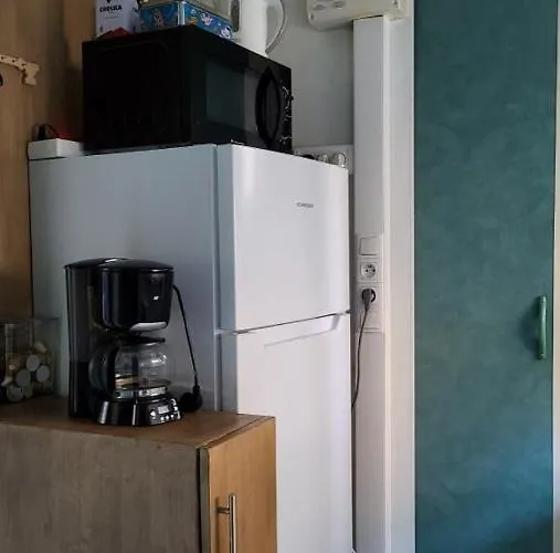 木屋 Climatise Avec Patio En Haute Corse 5 Couchages *